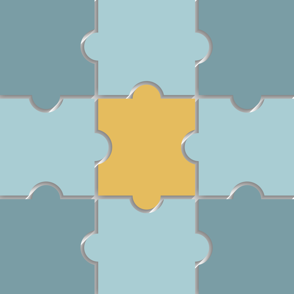 CC Puzzle Needs